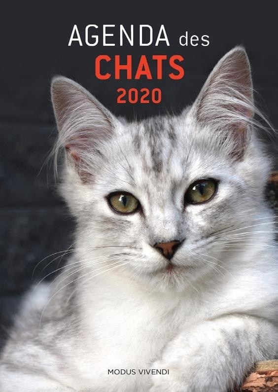 Agenda des chats