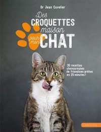 Des Croquettes Maison pour Mon Chat