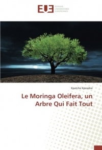 Le Moringa Oleifera, un Arbre Qui Fait Tout