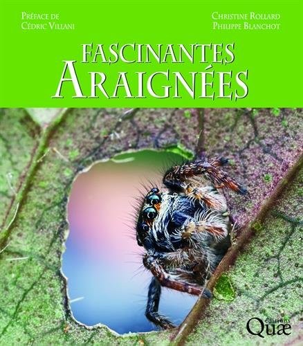 Fascinantes araignées: Préface de Cédric Villani