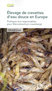 Élevage de crevettes d'eau douce en Europe: Pratiques éco-responsables pour Macrobrachium rosenbergii