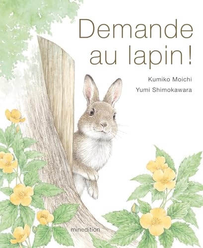 Demande au lapin !