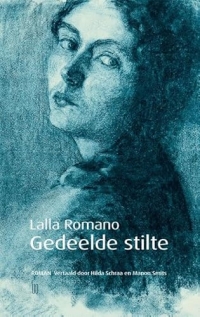 Gedeelde stilte: roman