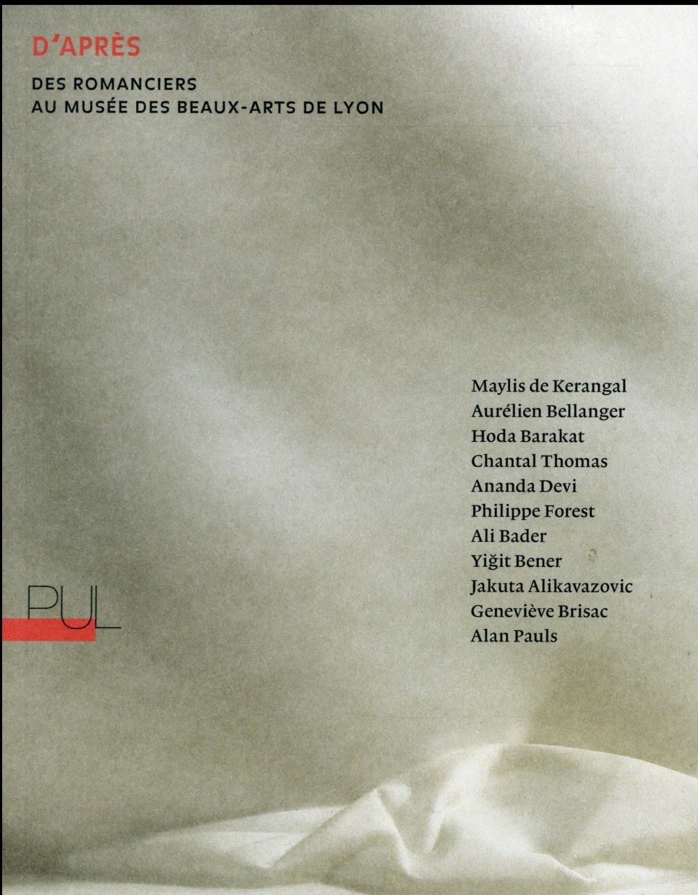 D'après : Des romanciers au musée des Beaux-Arts de Lyon