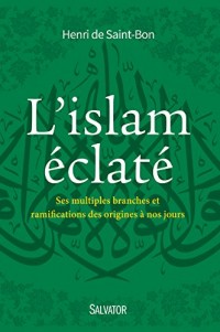 L'Islam éclaté : Ses multiples branches et ramifications des origines à nos jours