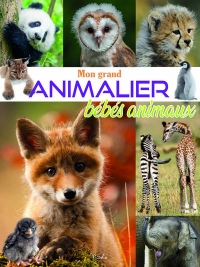 Mon grand animalier des bébés animaux
