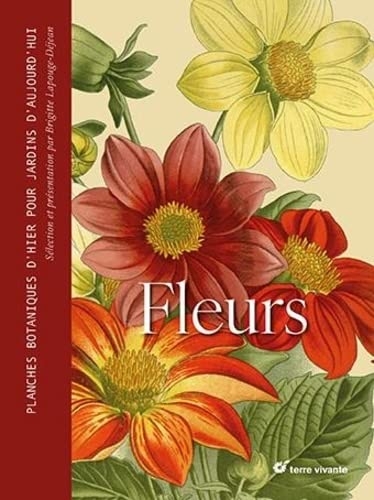 Fleurs: Planches botaniques d'hier pour jardins d'aujourd'hui