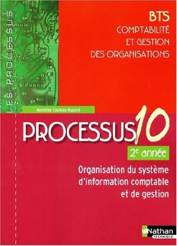 Processus 10 - Organisation du système d'information comptable et de gestion - BTS CGO 2e année
