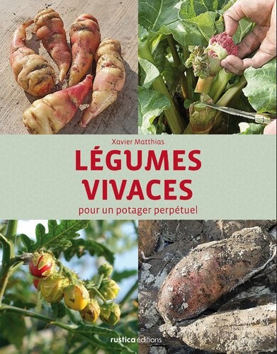 Légumes vivaces pour un potager perpétuel
