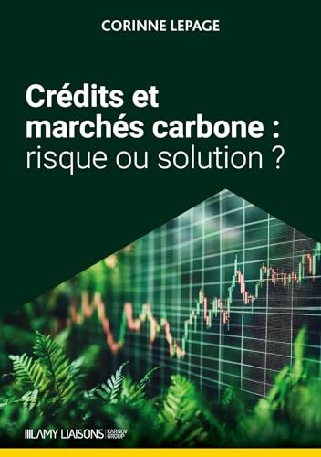 Crédits et marchés carbone : risque ou solution ?