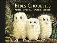 Bébés Chouettes