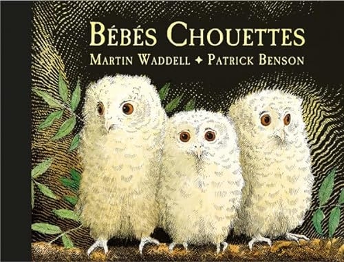 Bébés Chouettes