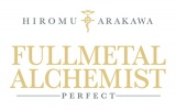 Fullmetal Alchemist Perfect T11 (11)