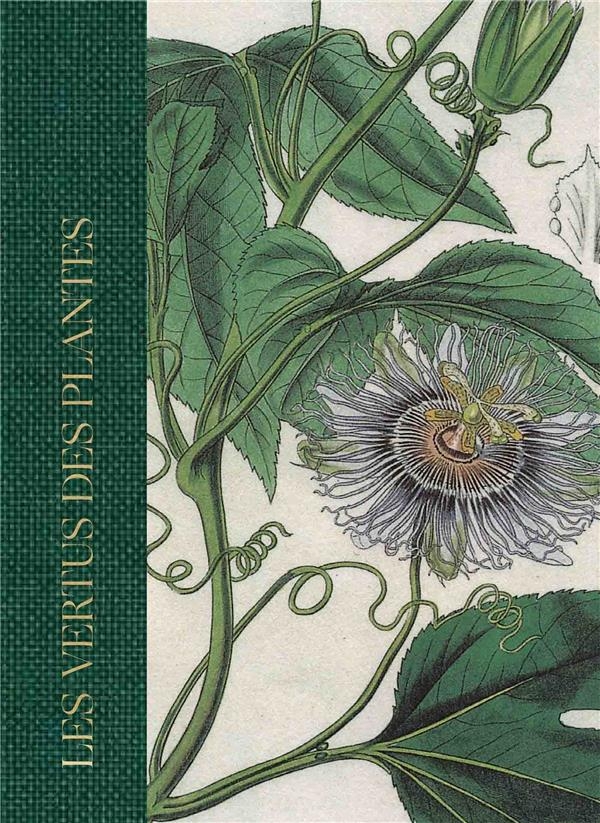 Les vertus des plantes