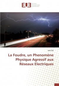 La Foudre, un Phenomène Physique Agressif aux Réseaux Electriques