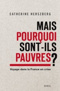 Mais pourquoi sont-ils pauvres?. Voyage dans la France en crise