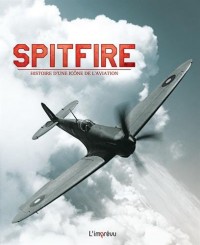 Spitfire : Histoire d'une icône de l'aviation