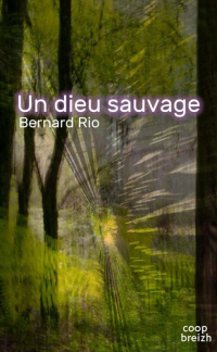 Un Dieu Sauvage