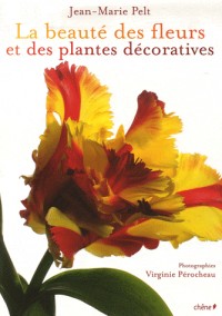 La beauté des fleurs et des plantes décoratives