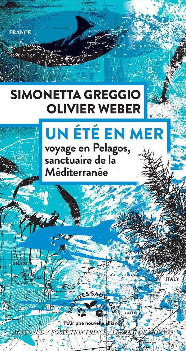 Un été en mer: Voyage en Pélagos, sanctuaire de la Méditerranée