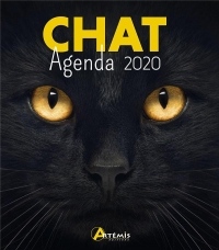 Agenda Chat