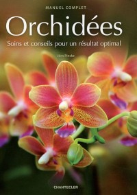 Orchidées : Soins et conseils pour un résultat optimal