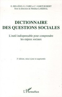 Dictionnaire des questions sociales : L'outil indispensable pour comprendre les enjeux sociaux