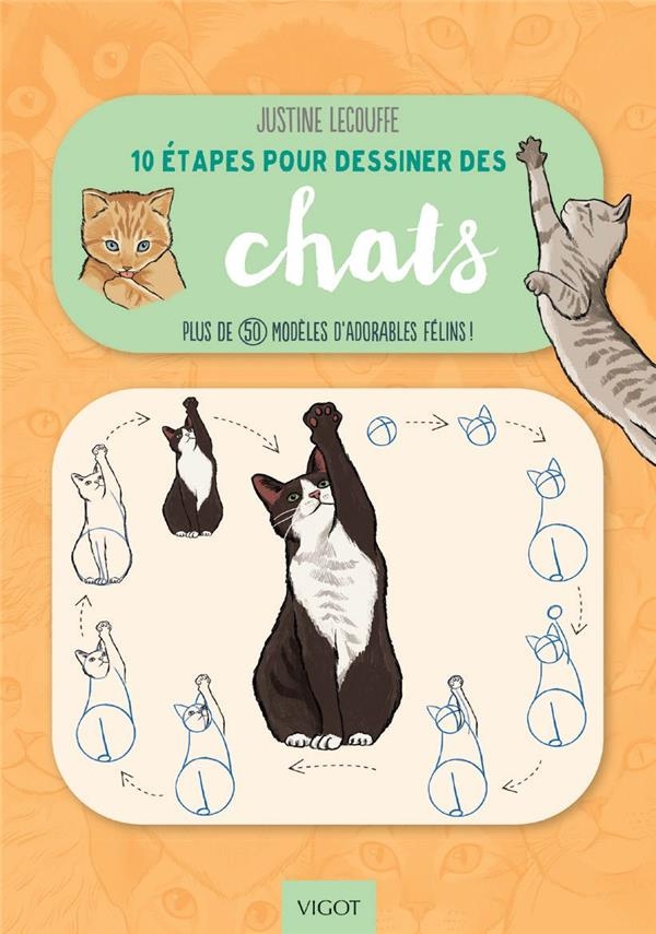 10 ÉTAPES POUR DESSINER LES CHATS