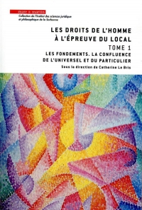 Les droits de l'homme à l'épreuve du local : Tome 1