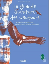 La grande aventure de la réintroduction des vautours