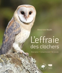 L'effraie des clochers. Description . Comportement . Vie sociale