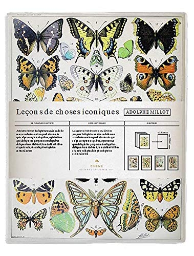 Adolphe Millot: Galerie d'art hétéroclite