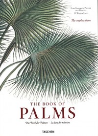 FP-Martius. The Book of Palms
