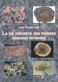 La vie discrète des pierres : Mémoires pétrifiées