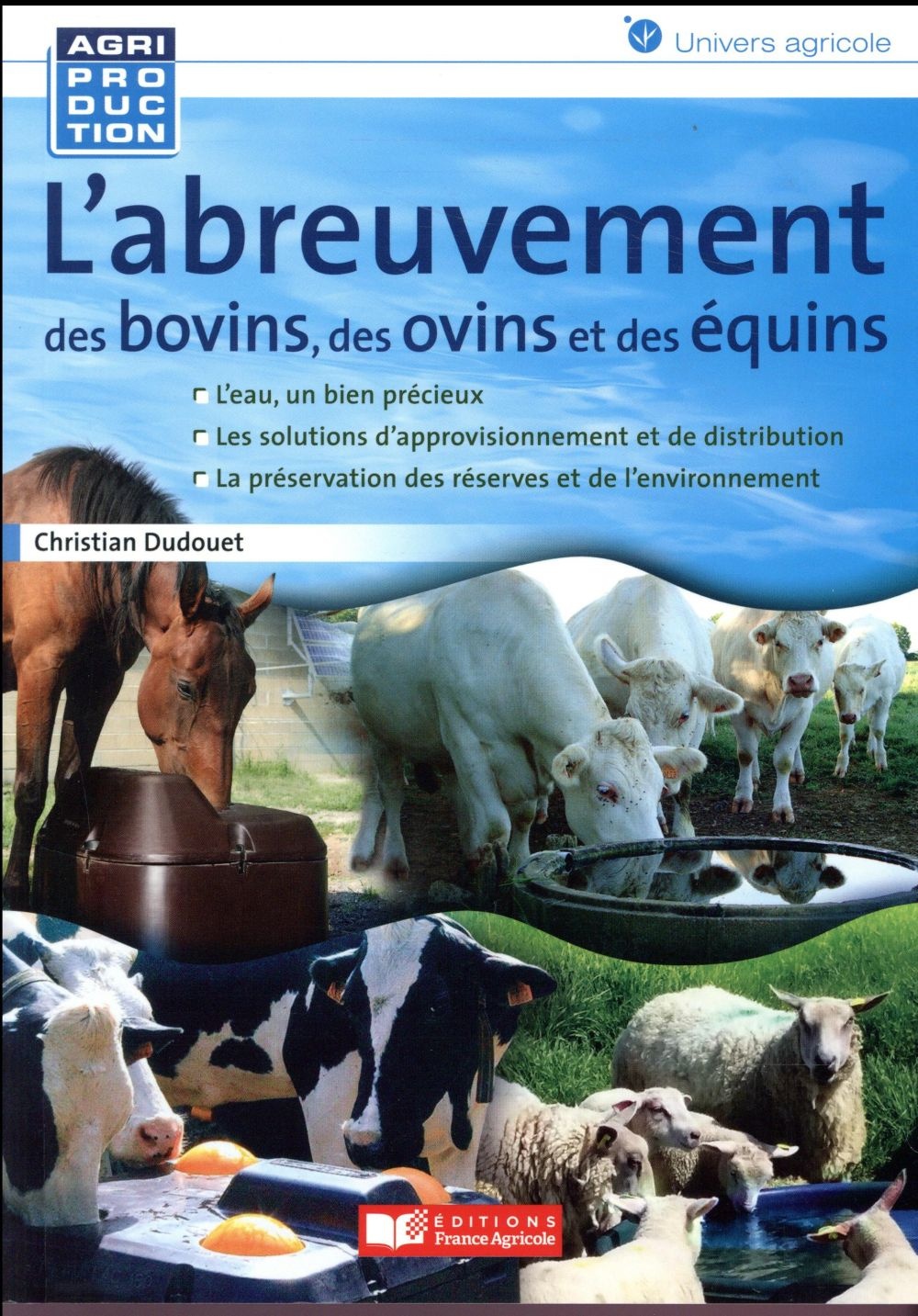 L'abreuvement des bovins, des ovins et des équins