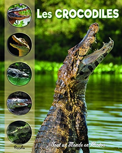 Les crocodiles