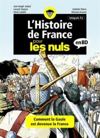 L'Histoire de France pour les Nuls en BD, intégrale 1