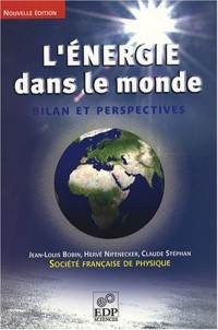 L'énergie dans le monde : bilan et perspectives