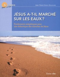 Jésus a-t-il marché sur les eaux ? : Fondements exégétiques pour une didactique des miracles de Jésus