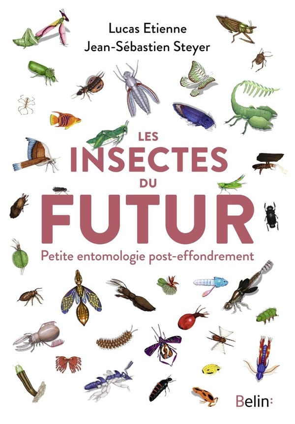 Les insectes du futur