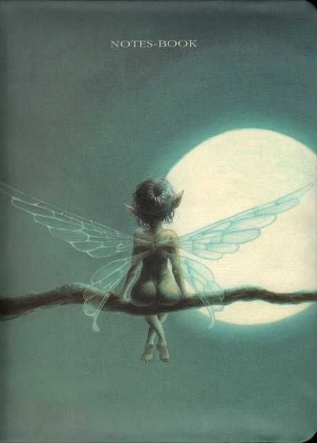 NOTES-BOOK CLAIR DE LUNE