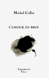 L'amour en bref