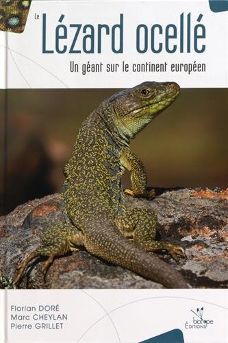 Le lézard ocellé : Un géant sur le continent européen