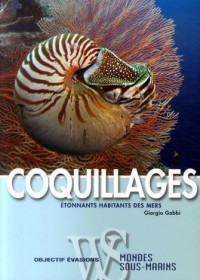 Coquillages : Etonnants habitants des mers