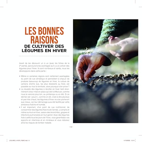 Je récolte mes légumes tout l’hiver: Quand semer ? Quand planter ? - 25 fiches légumes