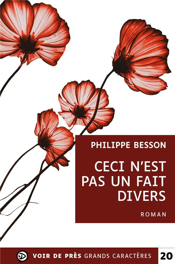 Ceci n'est pas un fait divers: Grands caractères, édition accessible pour les malvoyants
