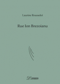Rue Ion Brezoianu: Poème-fleuve