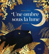 UNE OMBRE SOUS LA LUNE