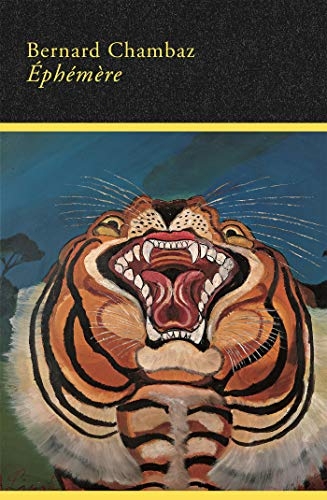 Éphémère (Ma nuit au musée)