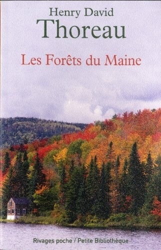 Les forêts du Maine